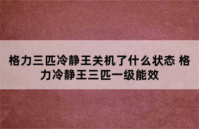 格力三匹冷静王关机了什么状态 格力冷静王三匹一级能效